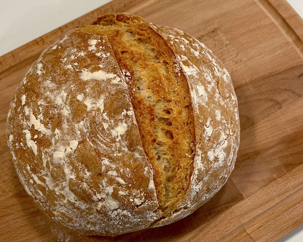 sourdough resources for beginners