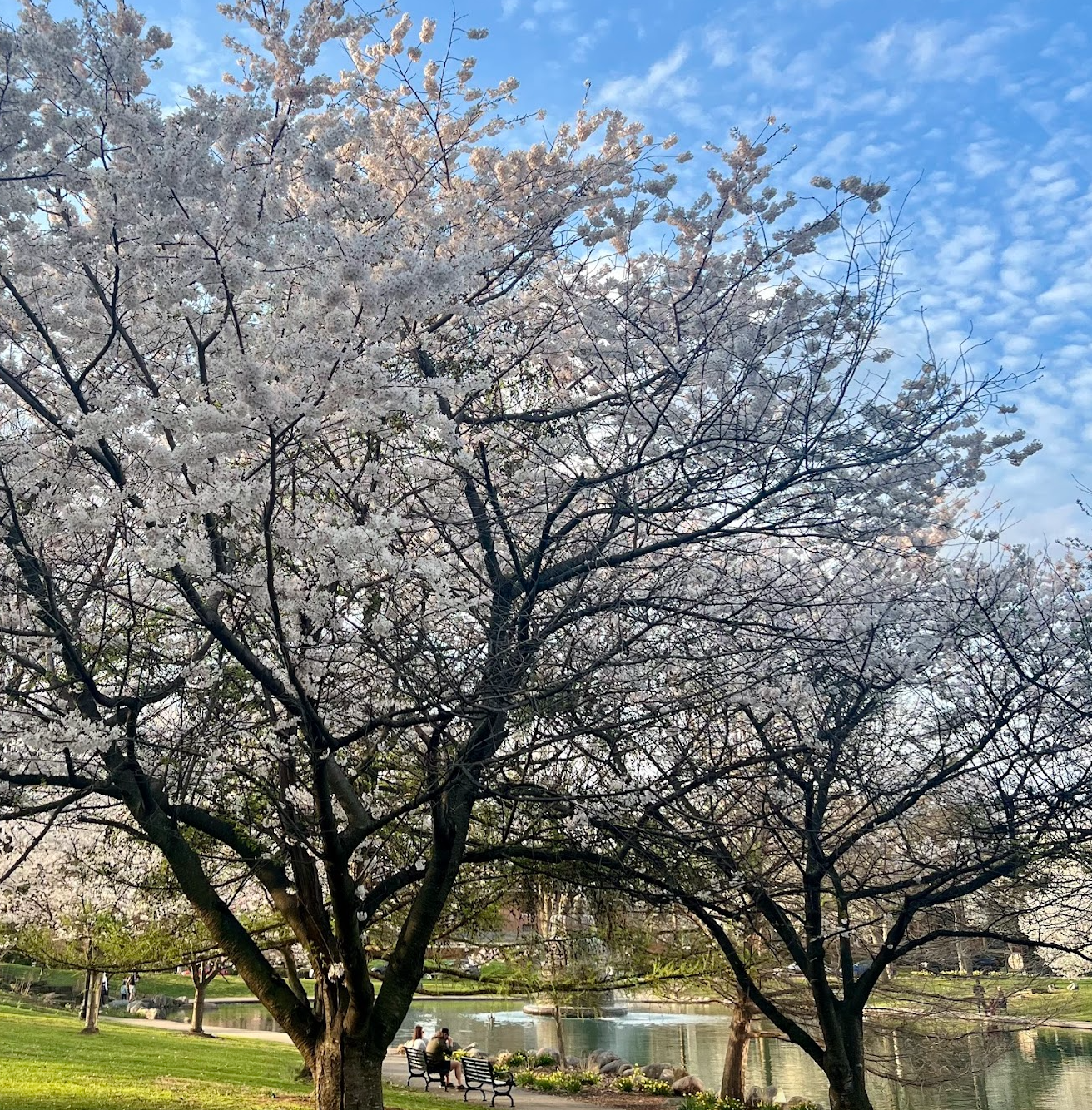 2024 show & tell: spring favorites