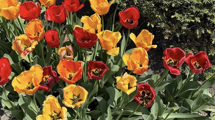 day 4: pioneering the&nbsp;future