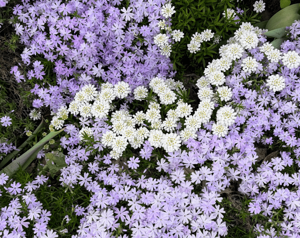 day 5: the power of&nbsp;observation