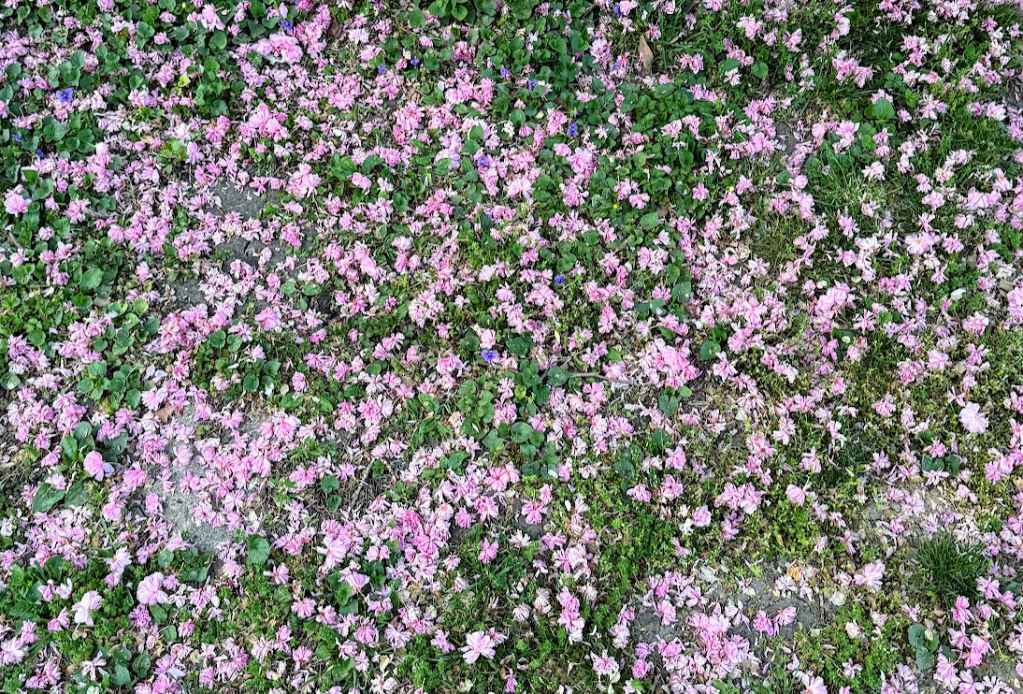 day 9: experiment to&nbsp;expand